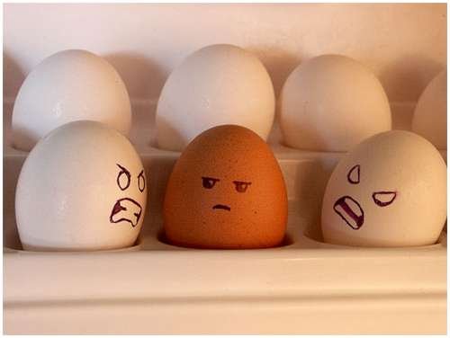 [Image: racist-eggs.jpg]